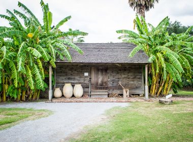 Plantation Tour: Whitney