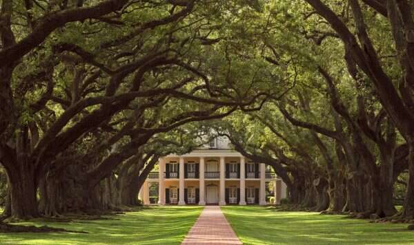 Oak Alley Plantation Tour