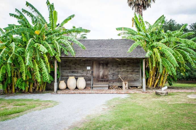 New Orleans Plantation Tours